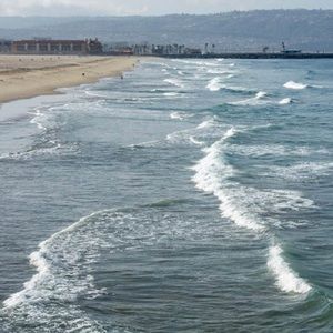 Meet your Posher, Yesenia